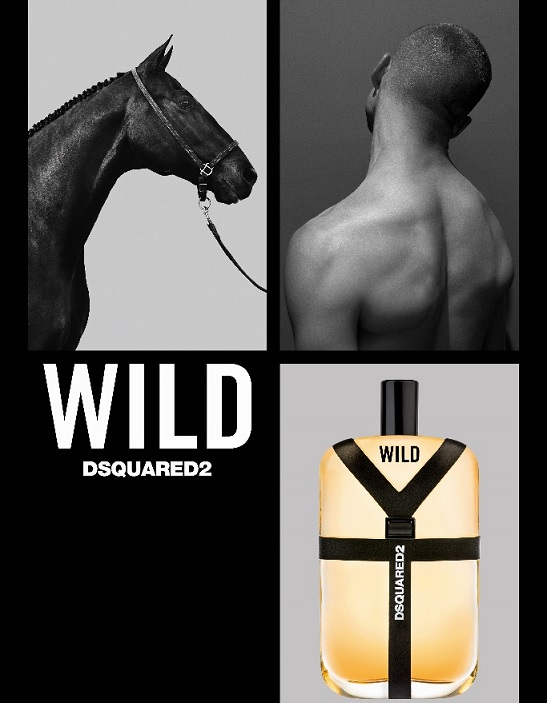 Dsquared Wild Gift Set 100ml EDT +100ml Hair And Body Wash 100ml EDT 1